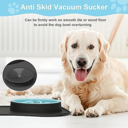 Slow Feeder Dog Bowls 3 in 1 Stainless Steel Food Water Bowl to Slow Eating