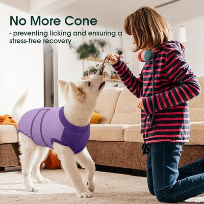 Kuoser Dog Recovery Suit, Female Male Spay Neuter Surgery Suit, Purple, L