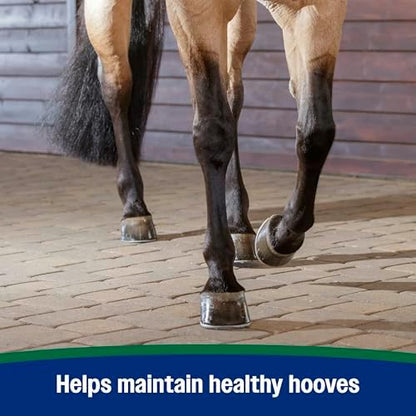 Farnam Horseshoer's Secret Pelleted Hoof & Biotin Supplements, Nutrient-Rich Formula with Amino & Fatty Acids, Omega-3 Minerals, Promotes Hoof Growth & Supports Cracked Hooves, 38 lb, 100-Day Supply