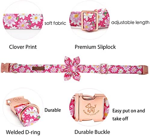 Elegant Little Tail Girl Dog Collar with Flowers - Pink Floral Pattern, Adjustable for X-Large Dogs