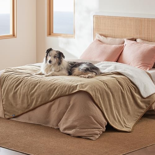 Bedsure Waterproof Blanket for Bed Soft Sherpa Fleece Throw,Twin 80"x60"