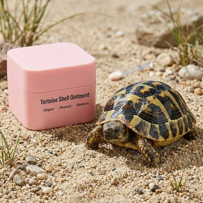Tortoise Shell Conditioner Balm – Turtle Shell Moisturizer for Dry Shell Care & Treatment, Reptile Shell Balm 50 g