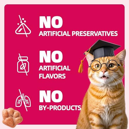 Wellix 13.05 oz Urinary Tract Cat Treats, Cranberry & D-Mannose for UT Aid
