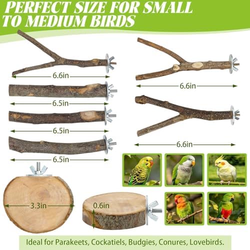 8-Piece Natural Wood Bird Perches for Budgie and Parakeet Cages