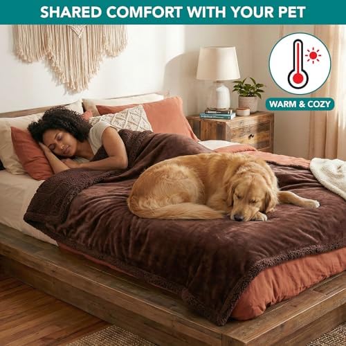 PetAmi Waterproof Dog Blanket for Large Dog Cat Pet, 60x80, Brown Sherpa