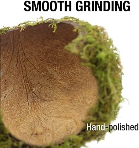 Hamster Hideout - Large, Natural Moss, Handcrafted for Syrian Hamsters, Rats & Guinea Pigs, Safe & Eco-Friendly
