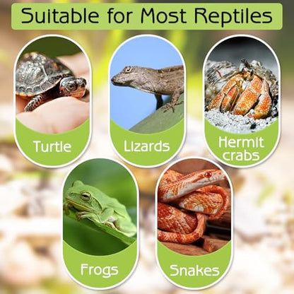kathson Tortoise Water Dish with Ramp and Basking Platform, Reptile Water Bowl Turtle Soaking Tub Hermit Crab Bathing Pool for Amphibians Habitat Accessories (Brown)