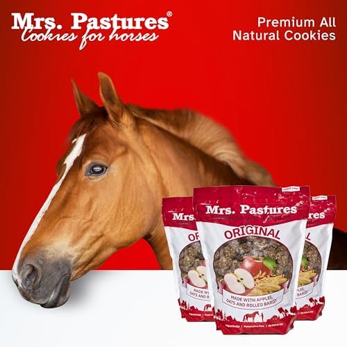 Mrs Pastures Cookies and Treats for Horses - Premium Horse Treats - Made with Apples, Oats, and Rolled Barley - Preservative Free - All Natural Ingredients - No Corn or Soy (15lb Refill Box)