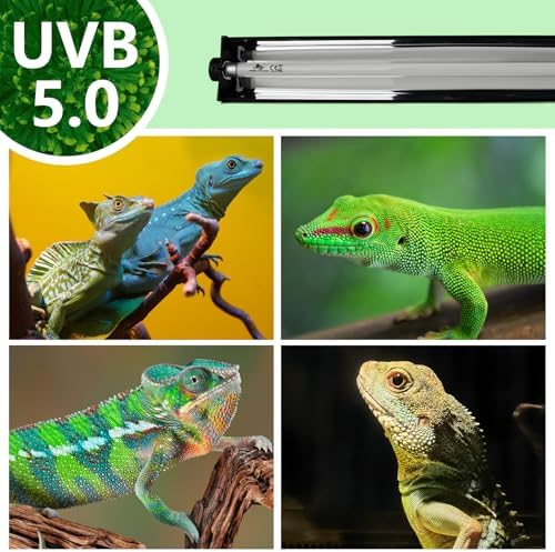 T5 UVB Lighting Combo Kit for Reptiles,8W Light Fixture with Desert 5.0 T5 UVB Light Bulbs Terrarium Hood Heat Lamp for Breaded Dragon,Turtle,Frog,Lizard,Tortoise,Gecko,Snake