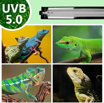 T5 UVB Lighting Combo Kit for Reptiles,8W Light Fixture with Desert 5.0 T5 UVB Light Bulbs Terrarium Hood Heat Lamp for Breaded Dragon,Turtle,Frog,Lizard,Tortoise,Gecko,Snake