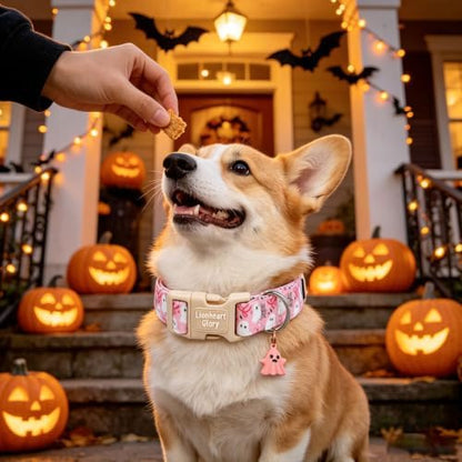 Halloween Dog Collar, Pink Ghost Dog Collar for Small Dogs Female/Male Puppy
