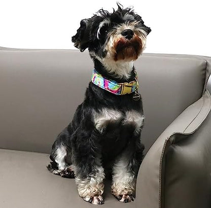 Tie Dye Summer Cotton Dog Collar with Metal Buckle Gift Collar for Small Medium Large Girls or Boys Dogs Cute Durable Comfortable Pet Collars