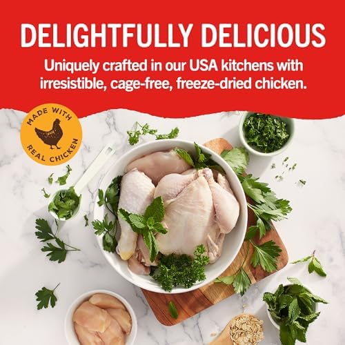 Stella & Chewy's Dental Delights with Freeze-Dried Chicken - Large Dental Treats for Dogs, 23.2 Ounce Bag