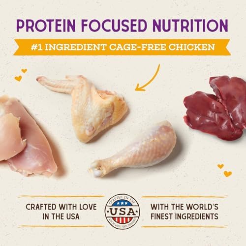 Stella & Chewy's Raw Coated Cat Food - High Protein, Grain-Free Kibble with Cage-Free Chicken - Premium Digestive Support with Probiotics - Natural Small Kibble - Perfect For Picky Eaters - 2.5lb Bag