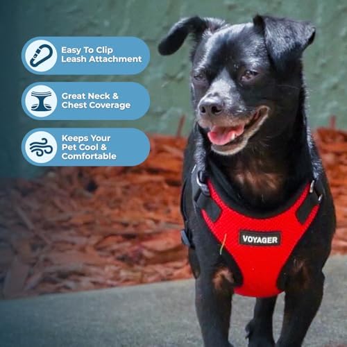 Best Pet Supplies Voyager Step-in Lock Pet Harness w Reflective Pet Leash Combo Set with Neoprene Handle 5ft - Supports Small, Medium and Large Breed Puppies/Cats - Red/Black Trim Set, L
