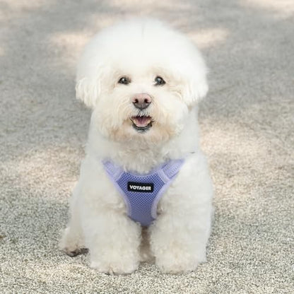 Voyager Step-in Flex Adjustable Dog Harness - Lavender, X-Large