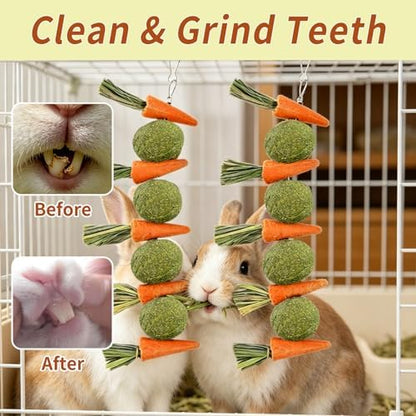Hamiledyi Rabbit Chew Toys for Teeth Natural Bunny Toys Guinea Pig Treats Hamster Molar Teeth Toys Made with Natural Timothy Grass & Vegetables Suitable for Rodent Pets Small Animal