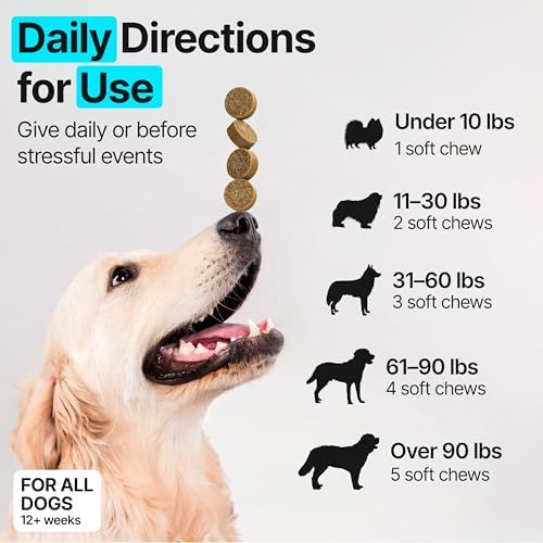 Dog Multivitamin Chewable with Glucosamine, Chondroitin & Probiotics – Dog Vitamins And Supplements – Skin, Hip & Joint, Immune - Puppy, Senior Dogs Supplements, 1 pack 170 Count, Made in USA