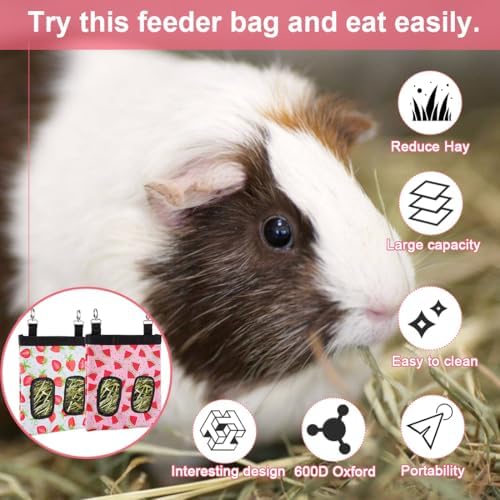 DZWLKJ 2 Pack Hay Feeder, Hanging Rabbit Hay Feeder, Guinea Pig Hay Bag, 11 x 9 x 1 Inches | Upgraded Stainless Steel Buckle | 600D Oxford | Watermelon and Strawberry