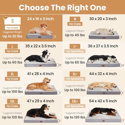OhGeni Orthopedic Waterproof Small Dog Bed, Memory Foam, 24 inch(Gray)