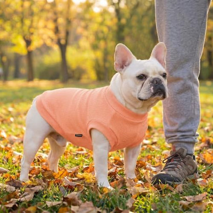 1 Pack Dog Shirt for Small Supplies Functional Waffle Dog Clothes Warm Soft Sweatshirt Outfit for Dogs Cats Pet Apparel