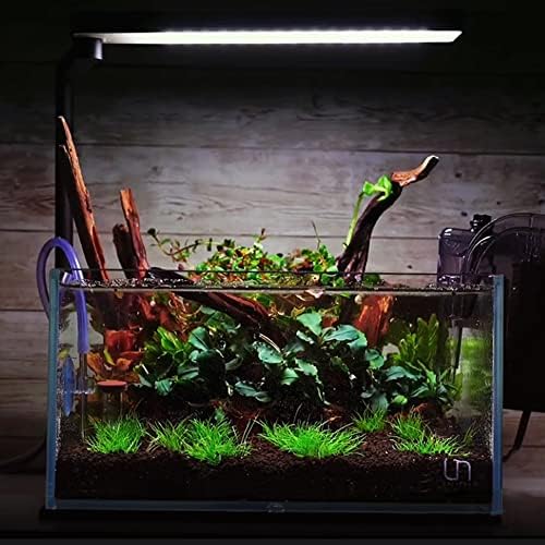 majoywoo Natural Small Driftwood for Aquarium Decor Fish Tank Decorations