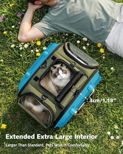 Pecute Cat Carrier,Double Bubble Pet Carrier for Cat Small Dogs,Green,L
