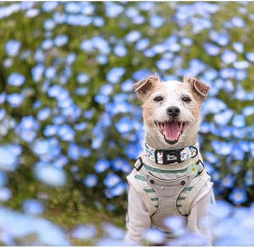 Dog Collar-Cute Flower Adjustable Pet Collars Soft Comfortable Puppy Collar Blue Cotton Dog Collars Durable Necklace Gift for Medium Dogs