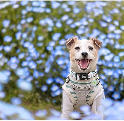 Dog Collar-Cute Flower Adjustable Pet Collars Soft Comfortable Puppy Collar Blue Cotton Dog Collars Durable Necklace Gift for Medium Dogs
