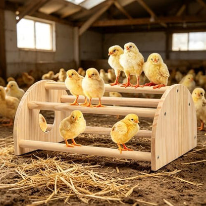 Pine Chicks Perch with Mirror, Strong Chick Jungle Gym Roosting Bar, Chicken Perch Toys for Coop and Brooder, Training Perch Toys for Large Bird, Parrot, Macaw, Hens (Large)
