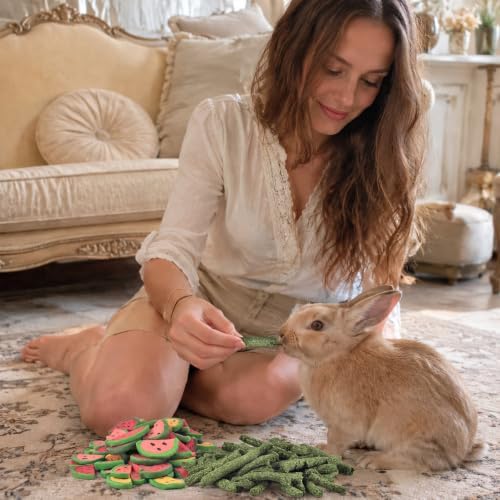 KATUMO 330g Rabbit Chew Toys, Bunny Chew Sticks and Treats