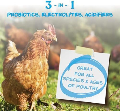 Manna Pro Hydro-Hen Poultry Electrolyte, Digestive & Probiotic, 8 oz