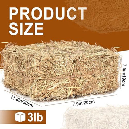 BobbleT Natural Wheat Straw – 3 LB Clean Dry Straw Bale for Stray Cats & Dogs, Soft Straw Bedding for Cat Shelter, Hay Bales for Decoration, Yard or Farm Use