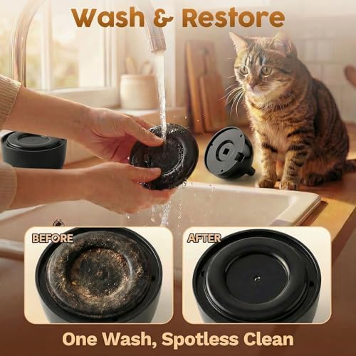 Interactive Cat Toys for Indoor Cats, 360° Automatic Spin Flying Bird Wand