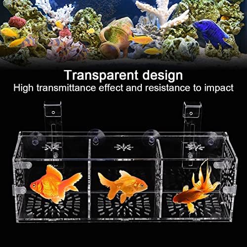 Yosoo Health Gear Clear Acrylic Fish Breeding Isolation Box, 30x10x10cm