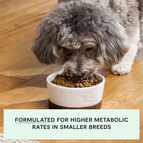 Open Farm Grain Free Dry Dog Food, Small Breed Kibble, 11lb Bag