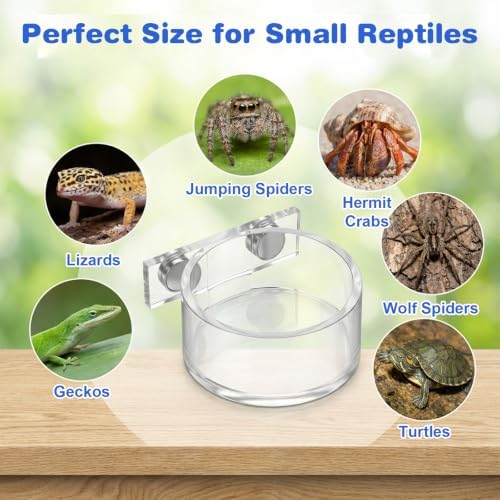 Jumping Spider Feeding Dish Set, Water Bowl with Tweezer