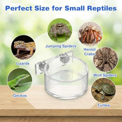 Jumping Spider Feeding Dish Set, Water Bowl with Tweezer