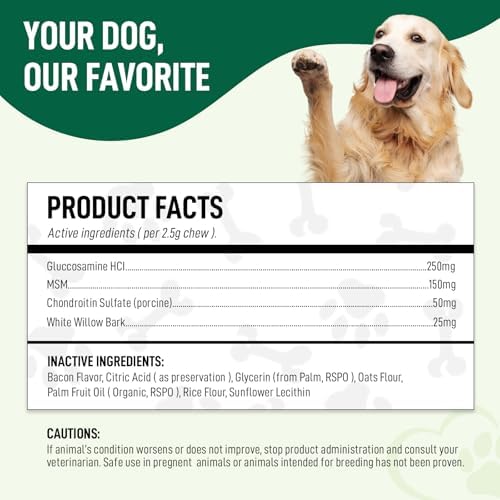 Hip & Joint Supplement for Dogs – 120 Soft Chews, Bacon Flavor | Glucosamine, Chondroitin & MSM for Mobility, Flexibility & Cartilage Support | for All Breeds