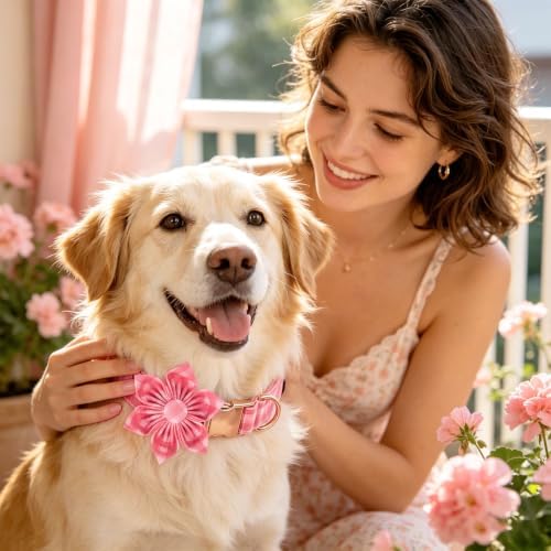 Pink Gingham Dog Collar with Flower for Large Female Dogs