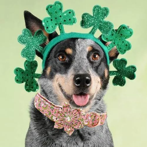 Dog Collar - St. Patrick's Day Dog Collar with Flower Adjustable Pet Gift Collar for Medium Small Large Dogs