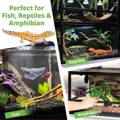 Westant Mushroom Decor for Reptile Tank, Pet-Safe (Bloom, Trio Cap)