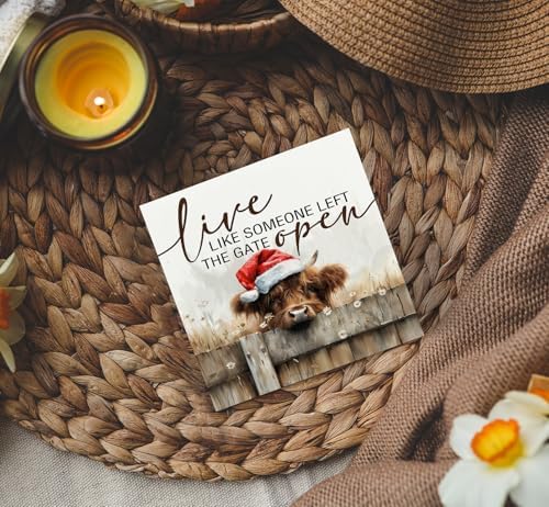 Christmas Highland Cow Home Bathroom Decor Sign - Farmhouse Western Christmas Animal Bathroom Decor,Rustic Farm Animal Live like Someone Left the Gate Open Signs,Bear Gifts for Women