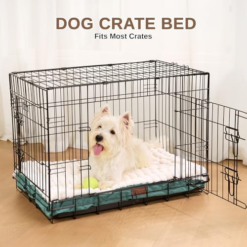Orthopedic Dog Bed for Medium Dogs,Firm Egg Crate Foam,Nonslip Bottom,Green