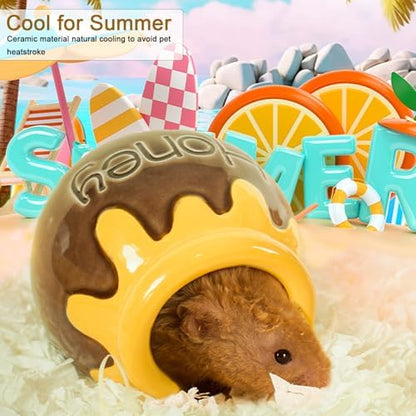 Ceramic Hamster Hideout Honey Chew Proof Syrian Hide Cool Bed
