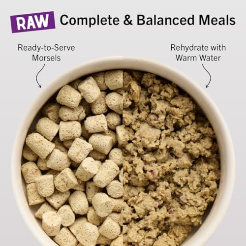 Stella & Chewy's Freeze-Dried Raw Cat Dinner Morsels - Premium Salmon & Chicken Recipe with 98% Wild-Caught & Cage-Free Protein - Natural Grain-Free Cat & Kitten Food - Made in USA - 18 oz (Pack of 2)