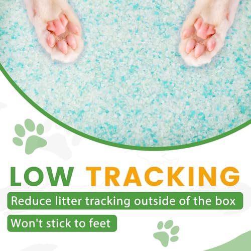 NEWORD Non-Clumping Crystals Cat Litter, Superior Odor Control Silica Gel Litter, Low Tracking & Dust-Free, Soft-On-Paws, Aloe Vera Fragrance, 14 lbs (2 Packs of 7lb Bags)