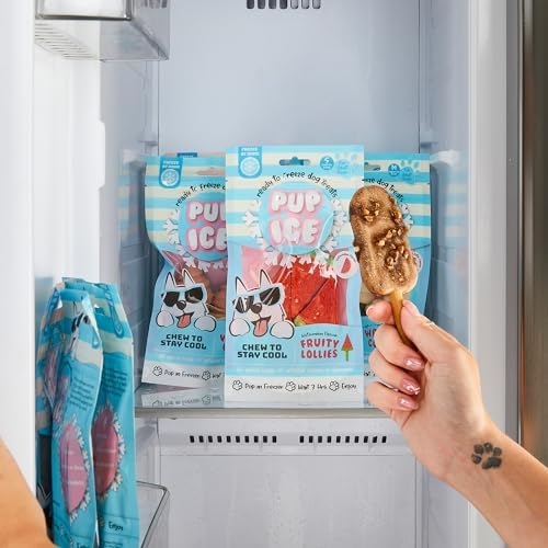 SPOT Pup Ice Dog Treats – Freeze-at-Home Edible Chews for Medium Breed Dogs & Puppies, Safe Peanut & Carob Flavor (No Chocolate), 2ct Rocket Lollies with Real Chicken