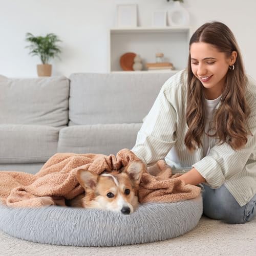 2-Pack Small Calming Dog & Cat Bed Anti Anxiety Fluffy Plush Pet Beds with Anti-Slip Bottom Machine Washable Interchangeable Pet Bed for Kittens & Puppies(Gray Series,21x16.5 Inch)