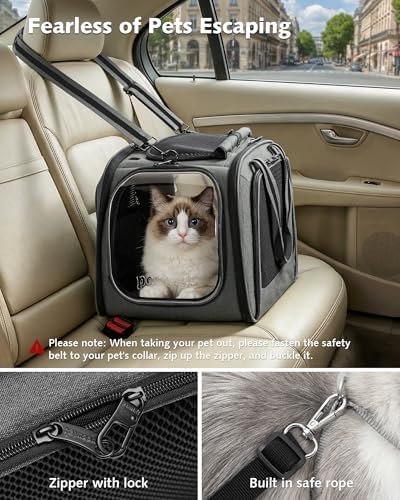 Pecute Cat Carrier,Double Bubble Pet Carrier for Cat Small Dogs,Gray,L